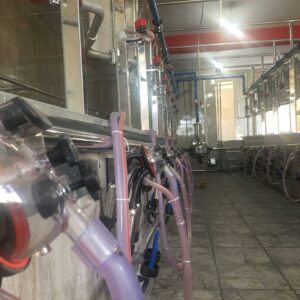 downloadgram.org_108383102_277073363599324_220407815798071934_n