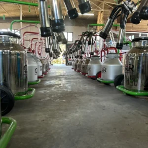 downloadgram.org_531830903_18070051385284070_3601853362944961359_n