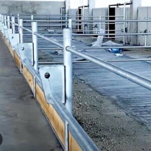 WhatsApp Image 2026-02-17 at 10.21.43 (1)