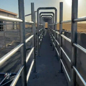 aşıyolu.00_00_42_26.Still005